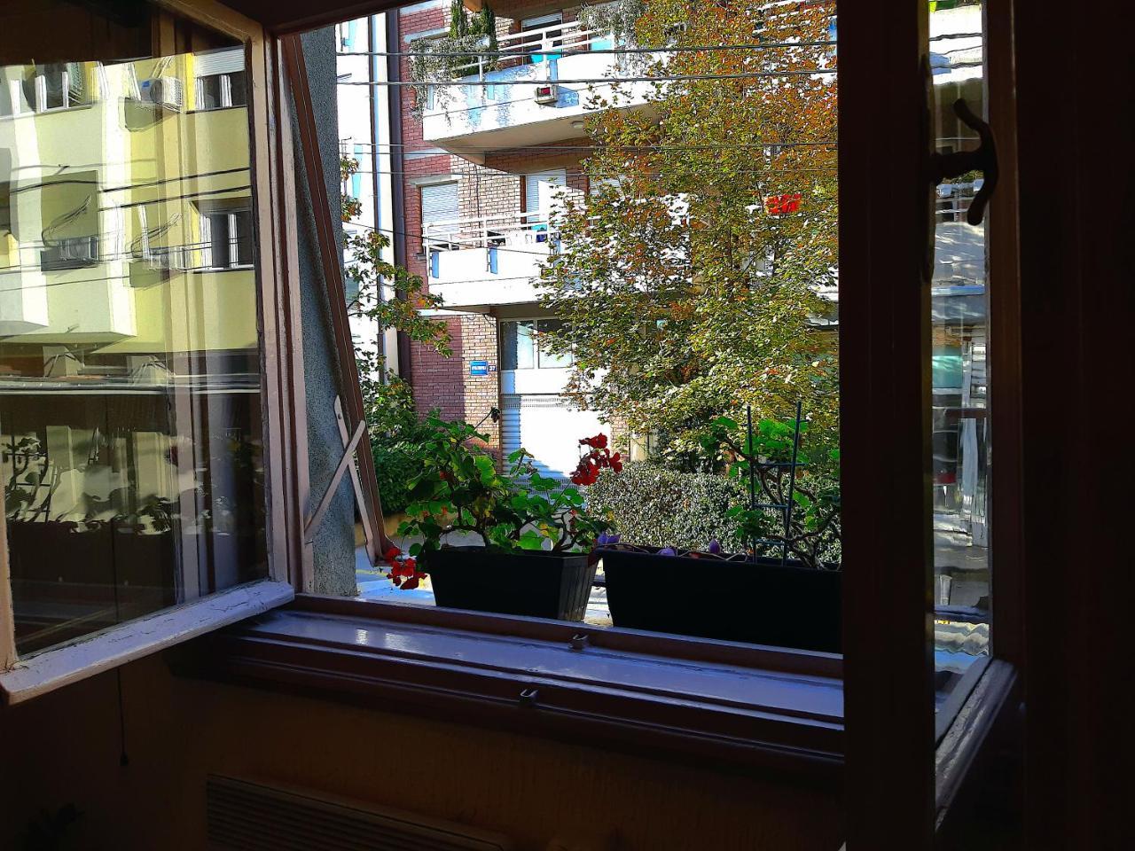 Jelena Apartment Belgrad Exterior foto